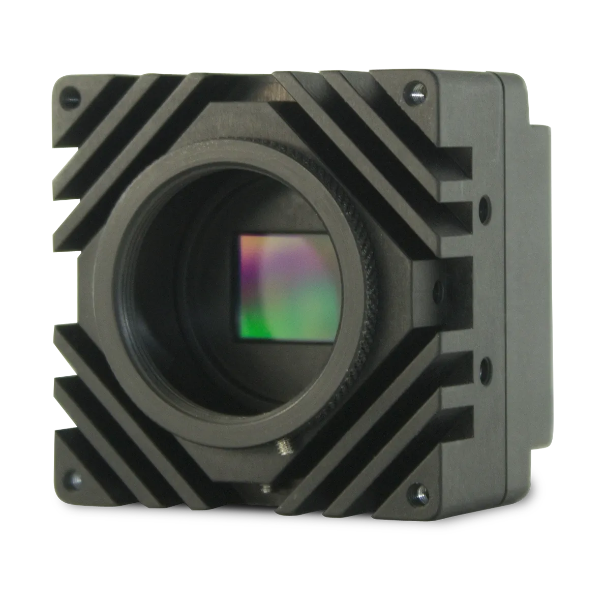 Iron-25x-CXP
