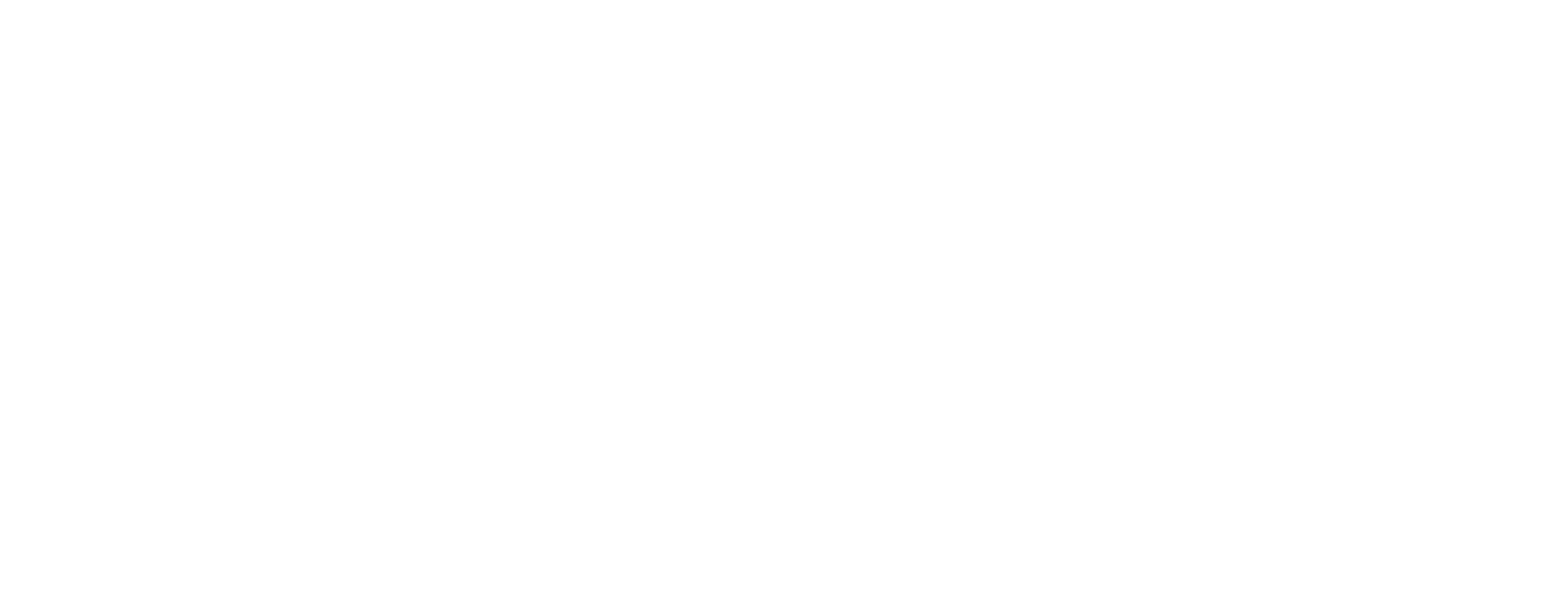 KAYA Vision Logo